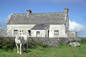 Aran Isles