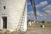 Consuegra