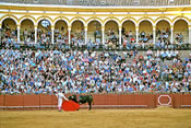 Plaza de Toros, Seville